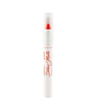 Diana Delice Matte Lipstick M21